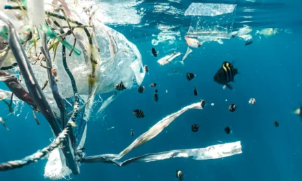 Países pobres los más afectados por los residuos plásticos en el planeta